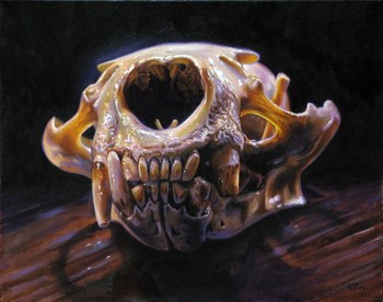 Tattoos - sea otter skull  - 42433